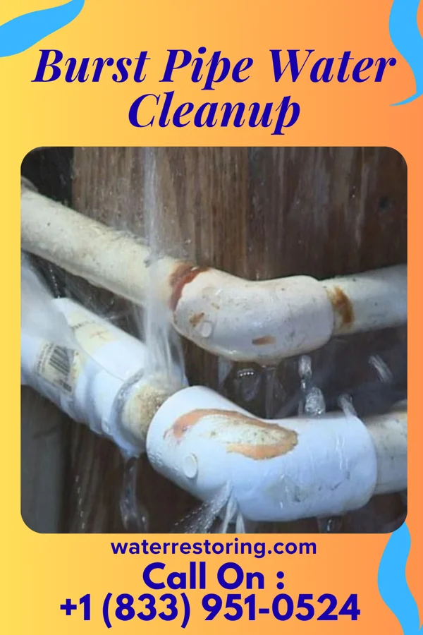 Burst Pipe Water Cleanup in Lake Lure, NC
