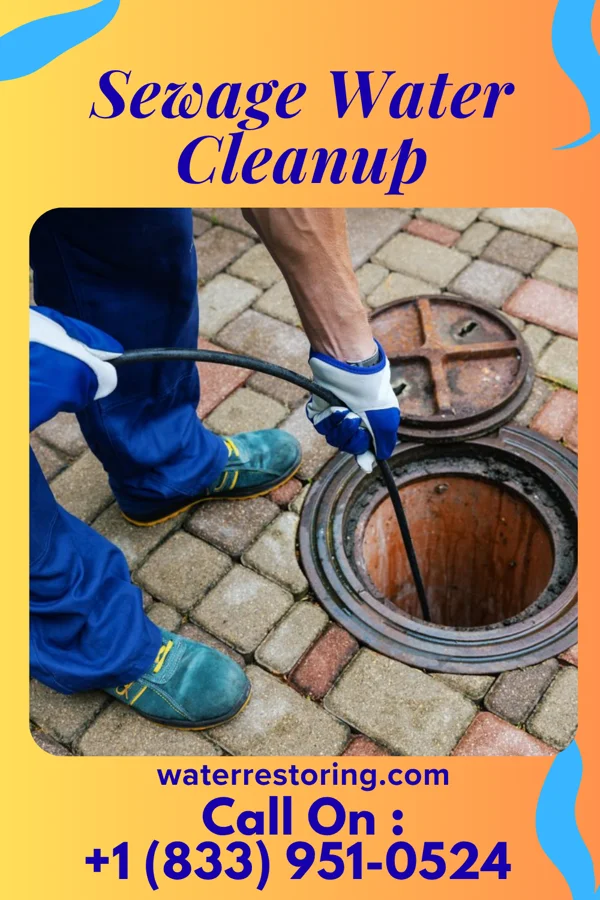 Sewage Water Cleanup in Lake Lure, NC